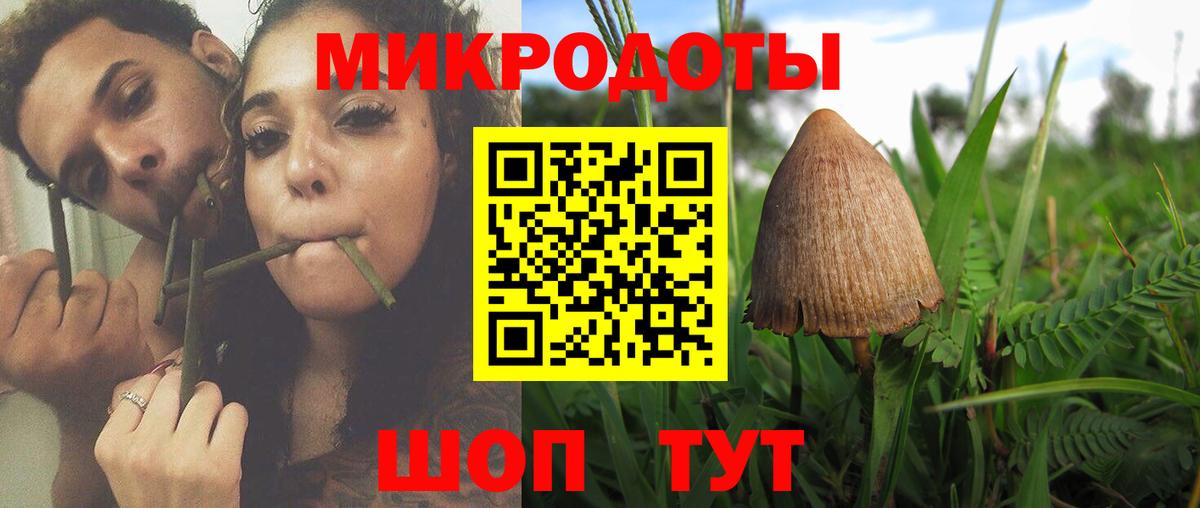 Псилоцибиновые грибы Psilocybe  Псилоцибиновые грибы мицелий  Вход с VPN  Дзержинский 